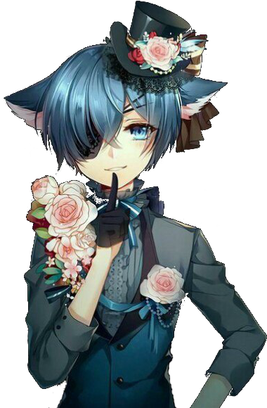 Download Hd Ciel Png Transparent Png Image Nicepng Com