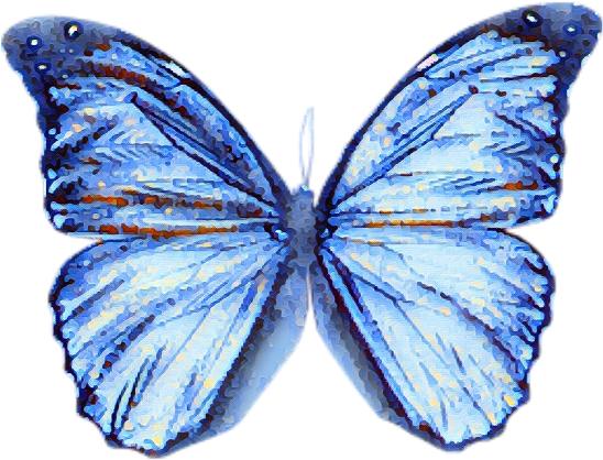 Butterfly Blue Watercolour Blur Effect (1024x1024), Png Download