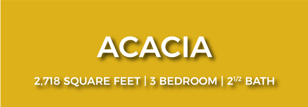 Acacia Nofp-01 (1000x349), Png Download