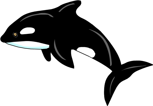 Orca Png (734x468), Png Download
