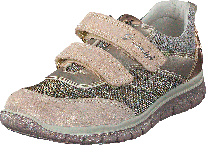 Phl 13729 Skin/corda (705x498), Png Download