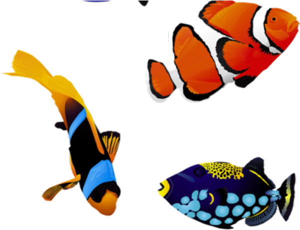 Pez Png (640x480), Png Download