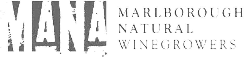 Mana (1000x1000), Png Download