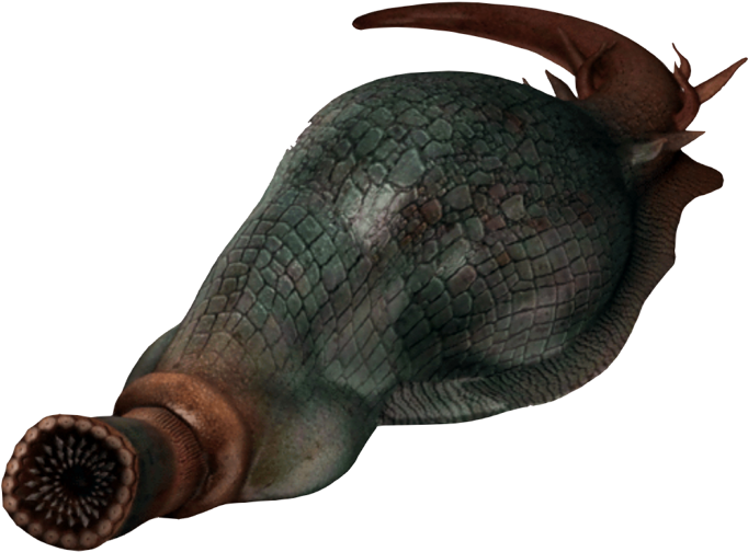 The Giant Leech (700x536), Png Download