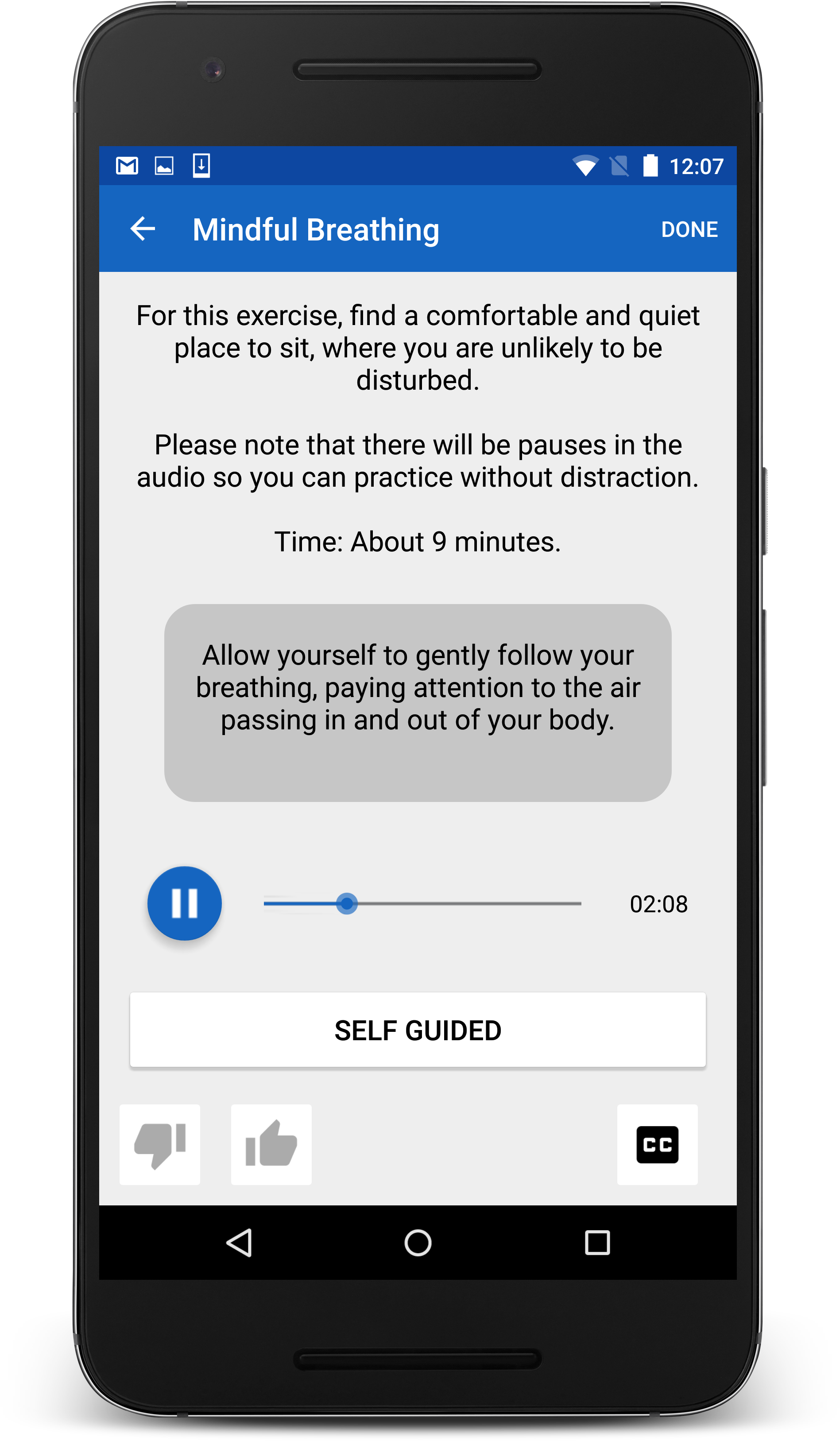 Ptsd Coach Mindfulness Screen (2073x3701), Png Download