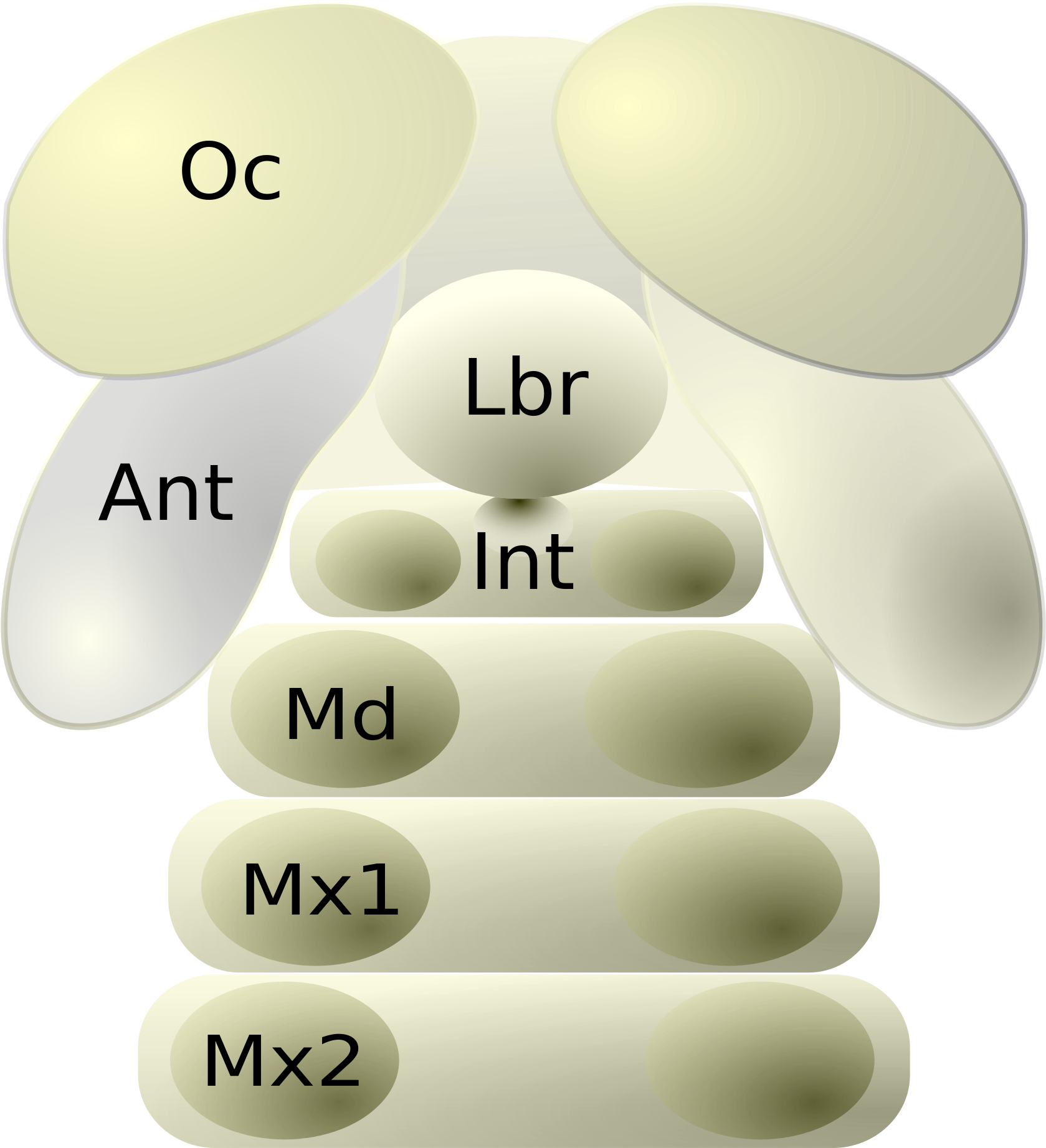Open (2000x2336), Png Download
