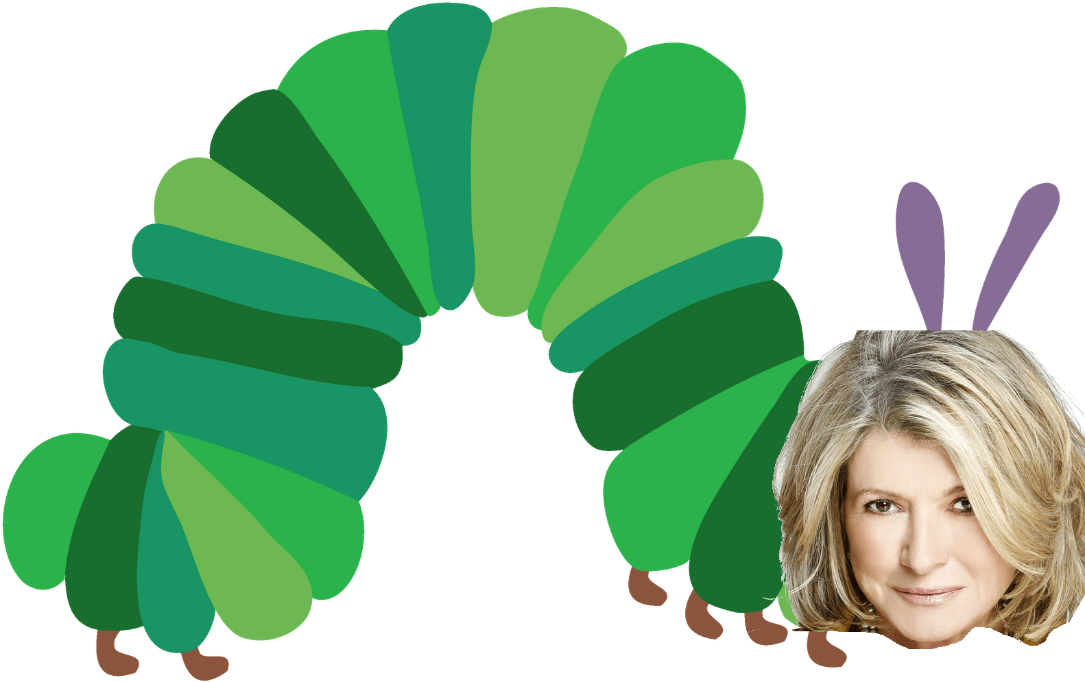 I Just Happened Across Martha Stewart's Ama Today And (1600x1236), Png Download