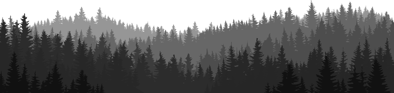 El Guindo , El Peral Común (pyrus Communis), El Serbal (1600x381), Png Download