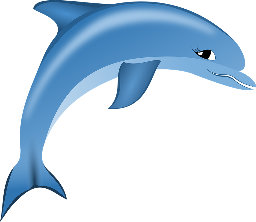 Dolphin Pictures Free (830x720), Png Download