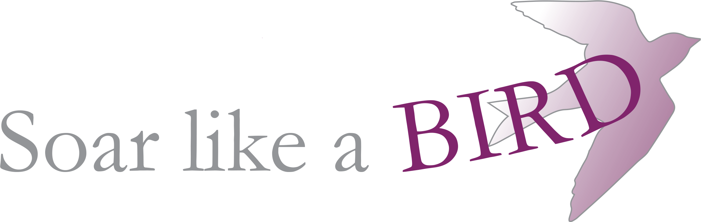 Page Heading Banner (2297x728), Png Download