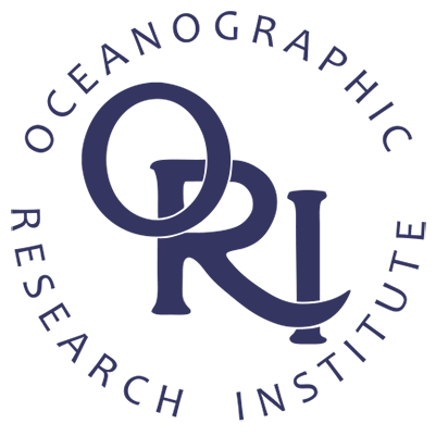 News-ori (1000x400), Png Download