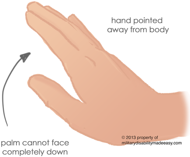 Upper Nerve 23 (628x525), Png Download