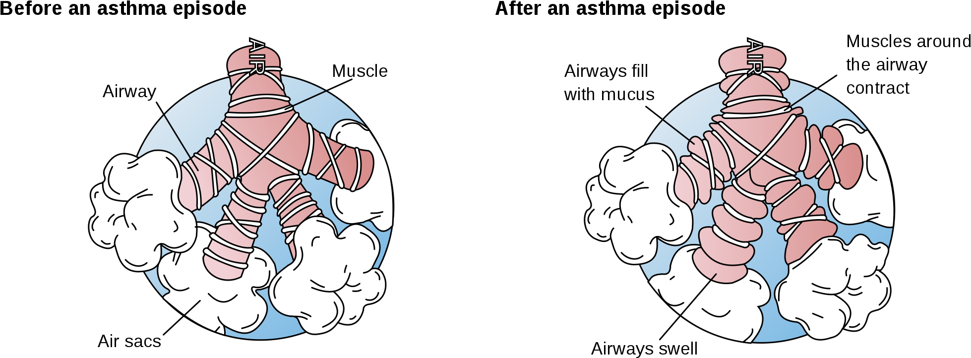 Open (2000x800), Png Download