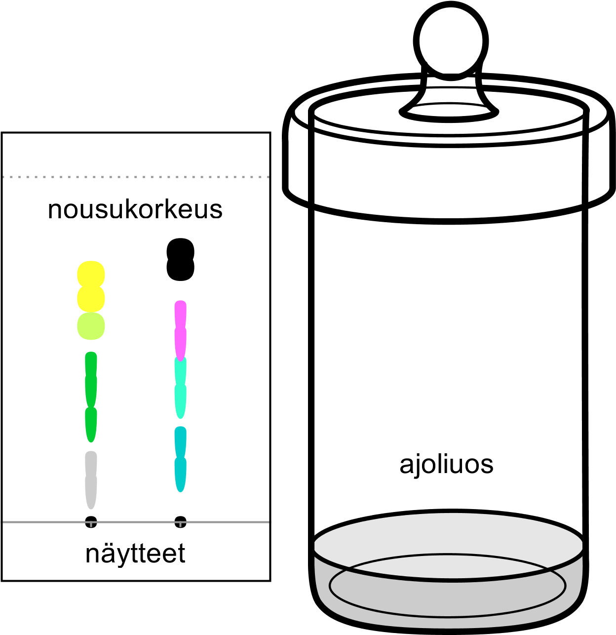 Tlc 69,8 Kt (1272x1308), Png Download