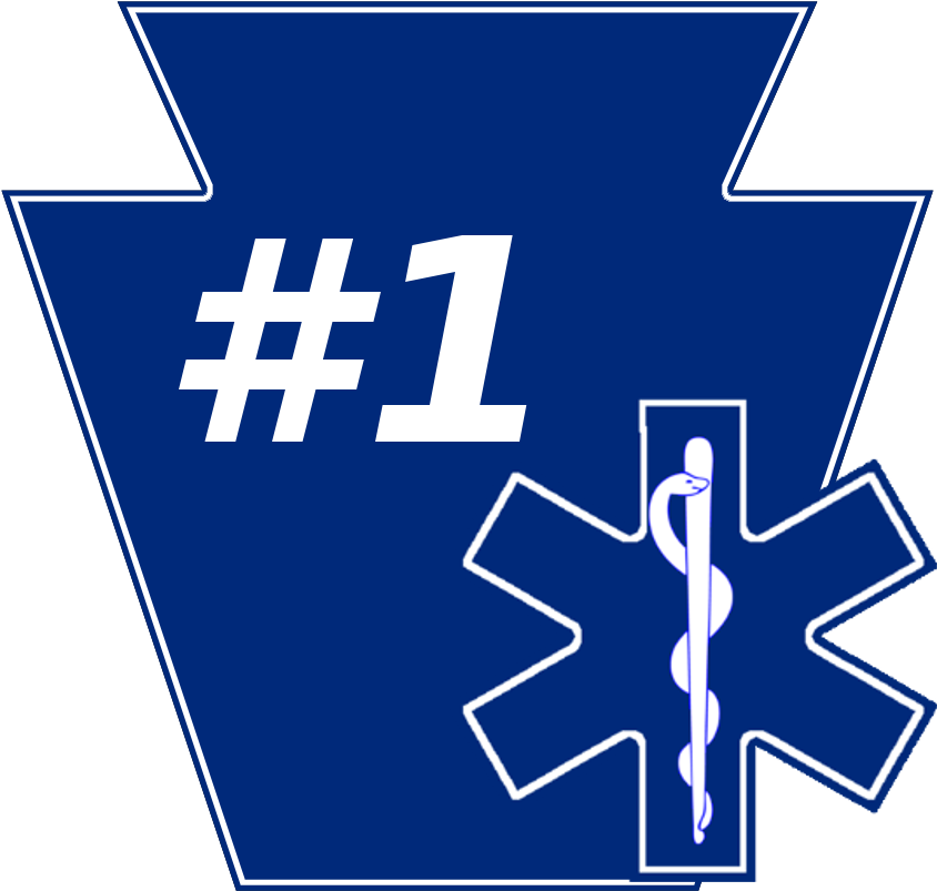 2018 Pa Ems Agency Of The Year (882x826), Png Download