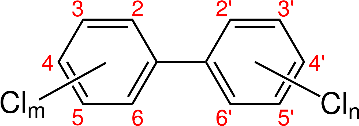 File - Pcb Lokanten - Svg (1280x472), Png Download