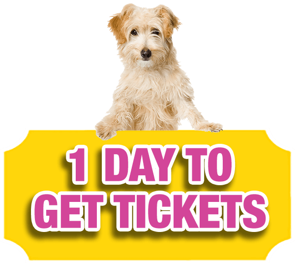 There's Only One Day Left To Buy Your Bc Spca Lottery (600x534), Png Download