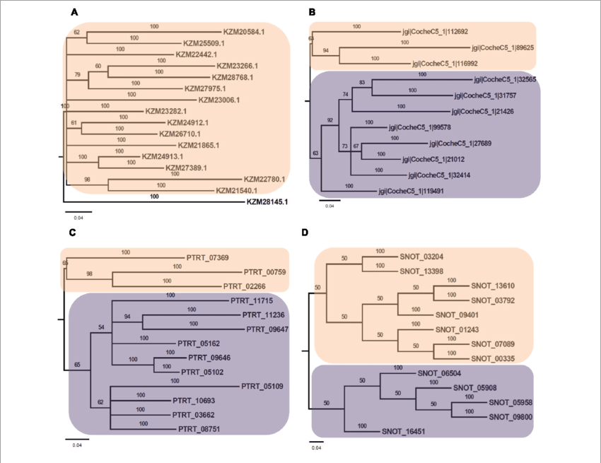 Download (850x655), Png Download