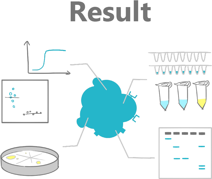 Result Png (875x713), Png Download