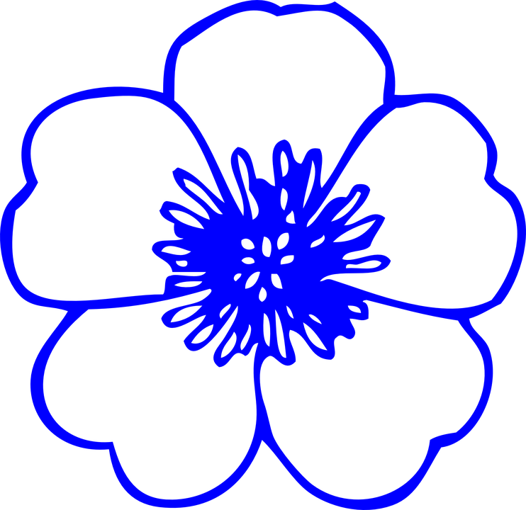 Royal Blue Watercolor Floral Clipart ~ Illustrations - Flower Clipart Black And White Outline (742x720), Png Download