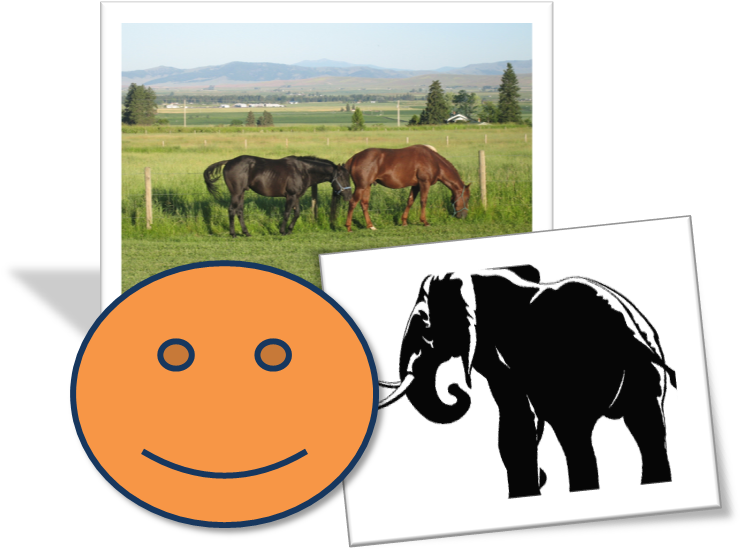 Working Animal (752x572), Png Download