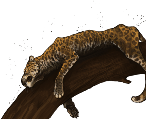 Deadleopardday - Jaguar (640x385), Png Download
