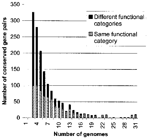 Representation Of Cogs Of The Same Functional Category - Document (748x469), Png Download
