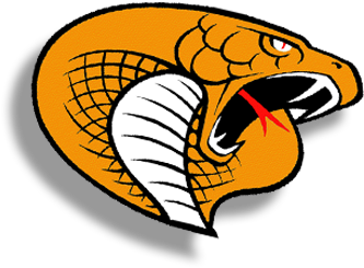 Sm Cobra's Basketball Drive Profile Image - South Miami Senior High Cobra (400x400), Png Download