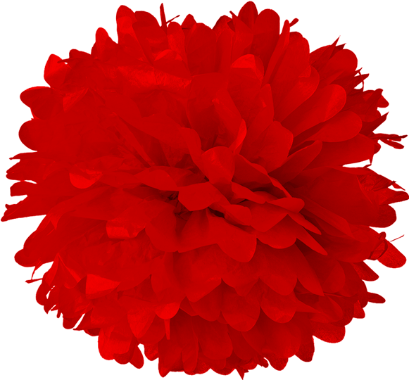 Red Tissue Pom Poms - Turquoise Blue 20 Inch Tissue Paper Flower Pom-pom (600x582), Png Download