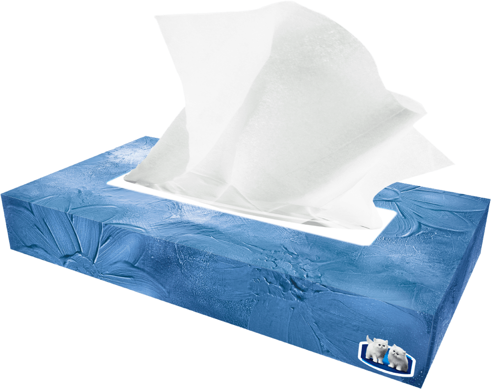 Grande1 - Grande2 - Grande3 - Royale Grande Signature 3-ply Facial Tissues (1000x793), Png Download