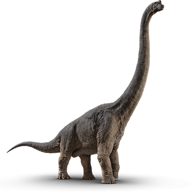 Size Chart - Jurassic World Fallen Kingdom Brachiosaurus (402x393), Png Download