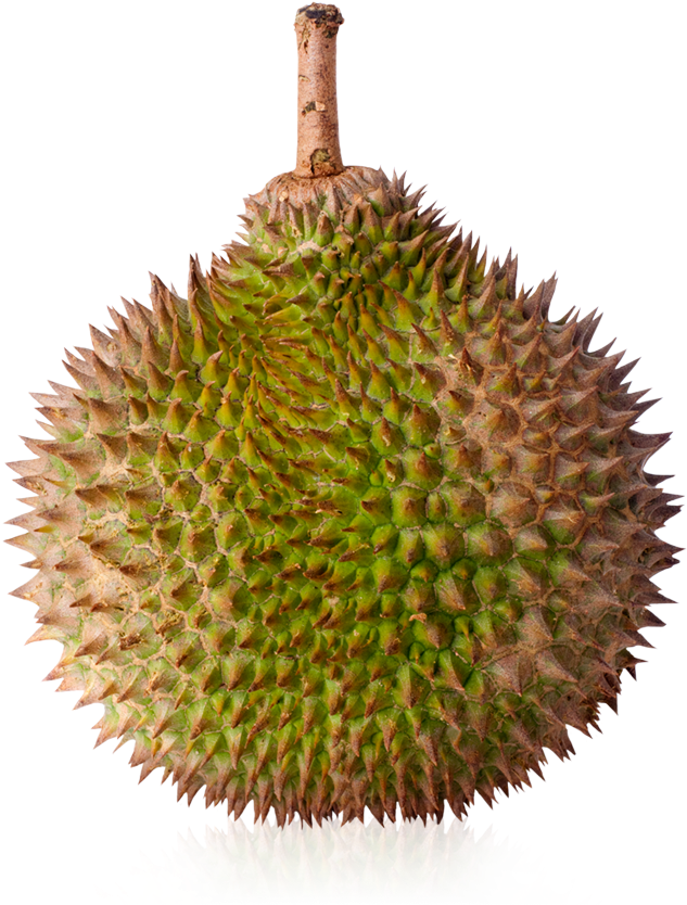 Download Hd Durian Png Download Durian Transparent Png Image Nicepng Com