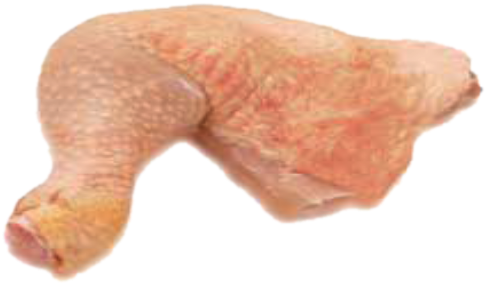 Chicken Leg - Leg Hen Pic Png (552x342), Png Download