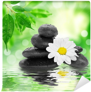Black Stones And Bamboo On Water Wall Mural • Pixers® - Cortesi Home Peaceful Reflections Ii Photographic Print (400x400), Png Download
