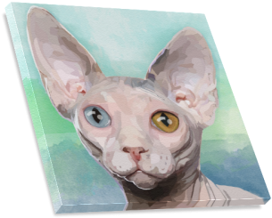 Sphynx Cat - Sphynx (500x500), Png Download