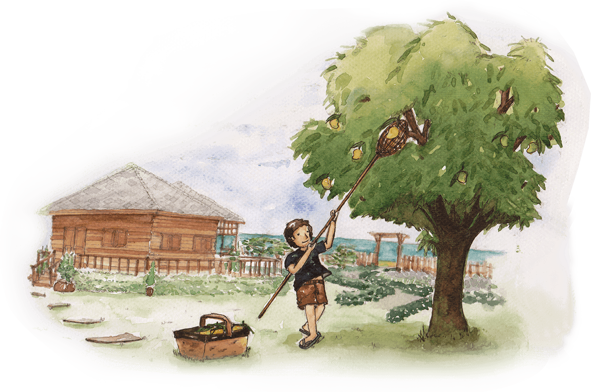 As A Thai Brand, We Take Great Pride In Using Thai - Oak (1169x775), Png Download