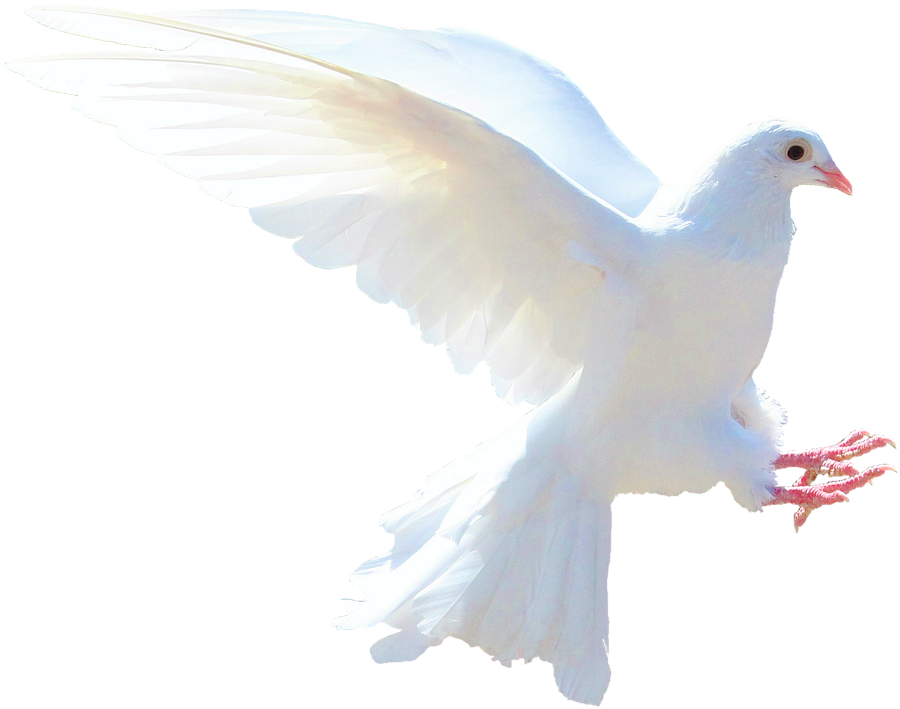 The Gift Of The Holy Spirit - Holy Spirit Transparent (700x560), Png Download