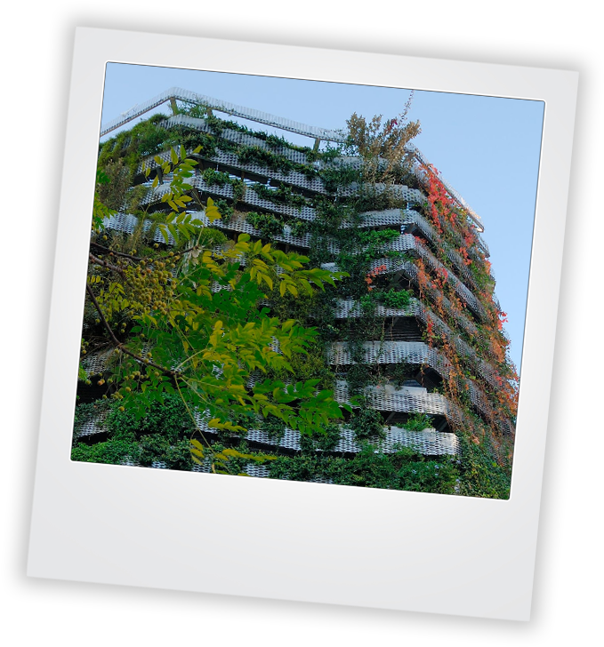 Vertical Gardens - Picture Frame (707x745), Png Download