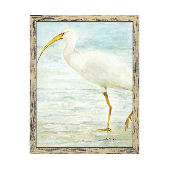 White Ibis On The Shore Beach Watercolor Painting Stretched - Painting (650x650), Png Download