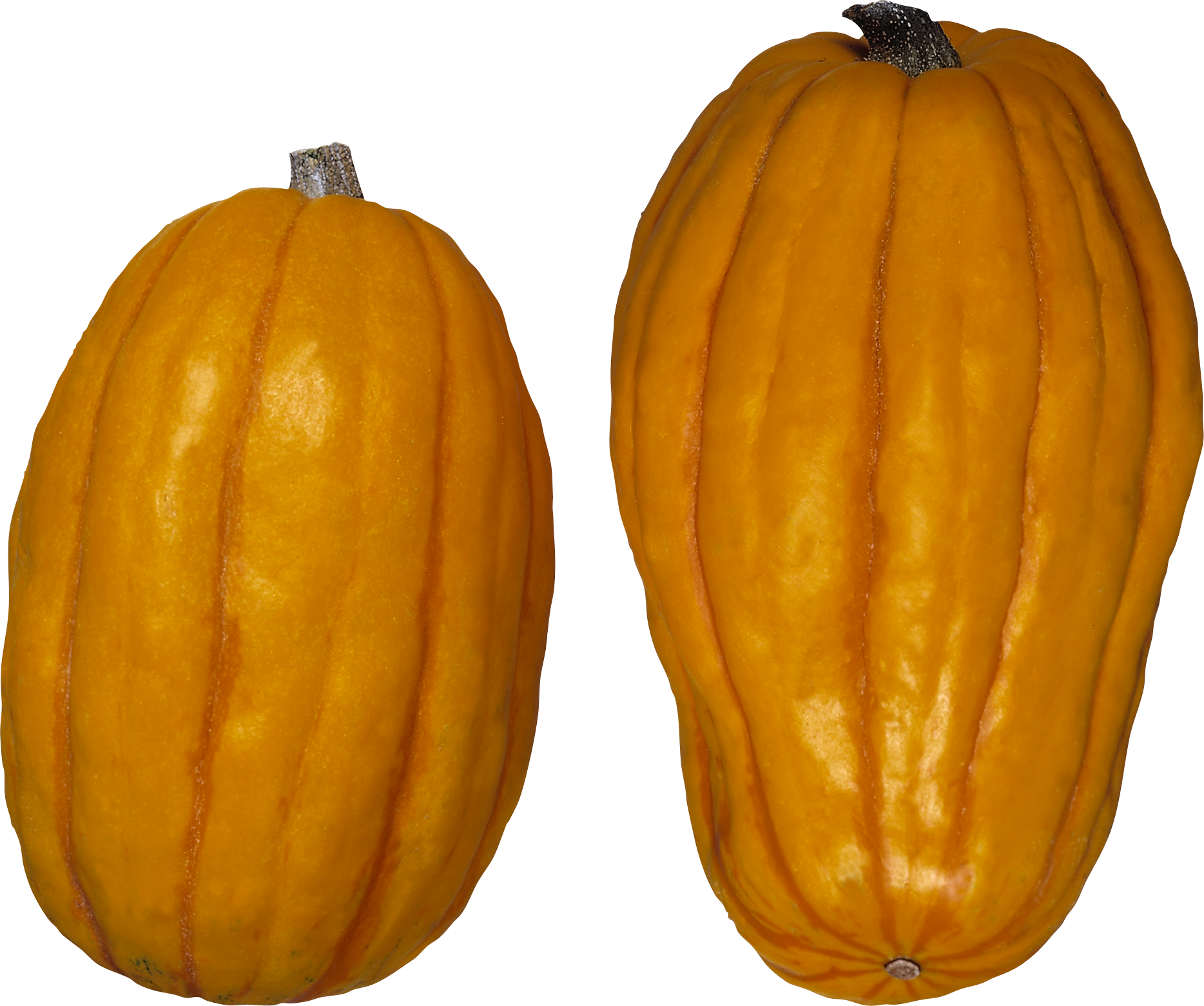 Pumpkin Png Images Free Download Banner Black And White - Winter Squash (1868x1560), Png Download
