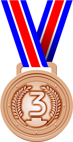 Ni, Si, And Self Delusion Bronze Medal Png - 1st Prize Winner Png (263x510), Png Download