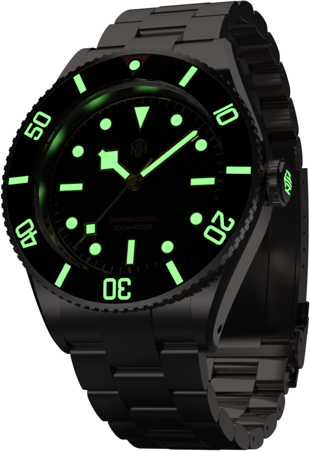 Barracuda Png (620x903), Png Download