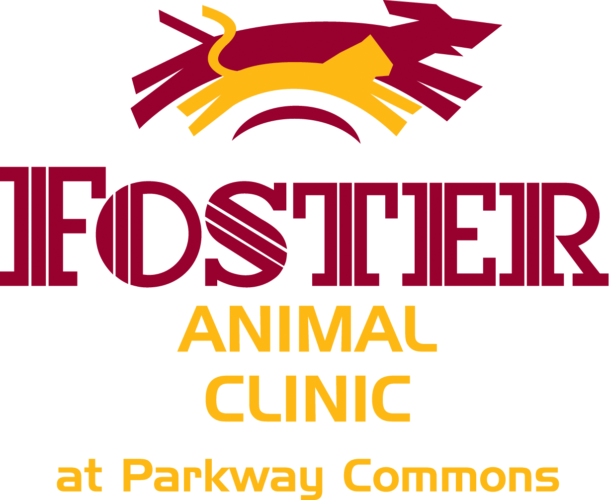 Foster Clinic Logo (1225x1006), Png Download