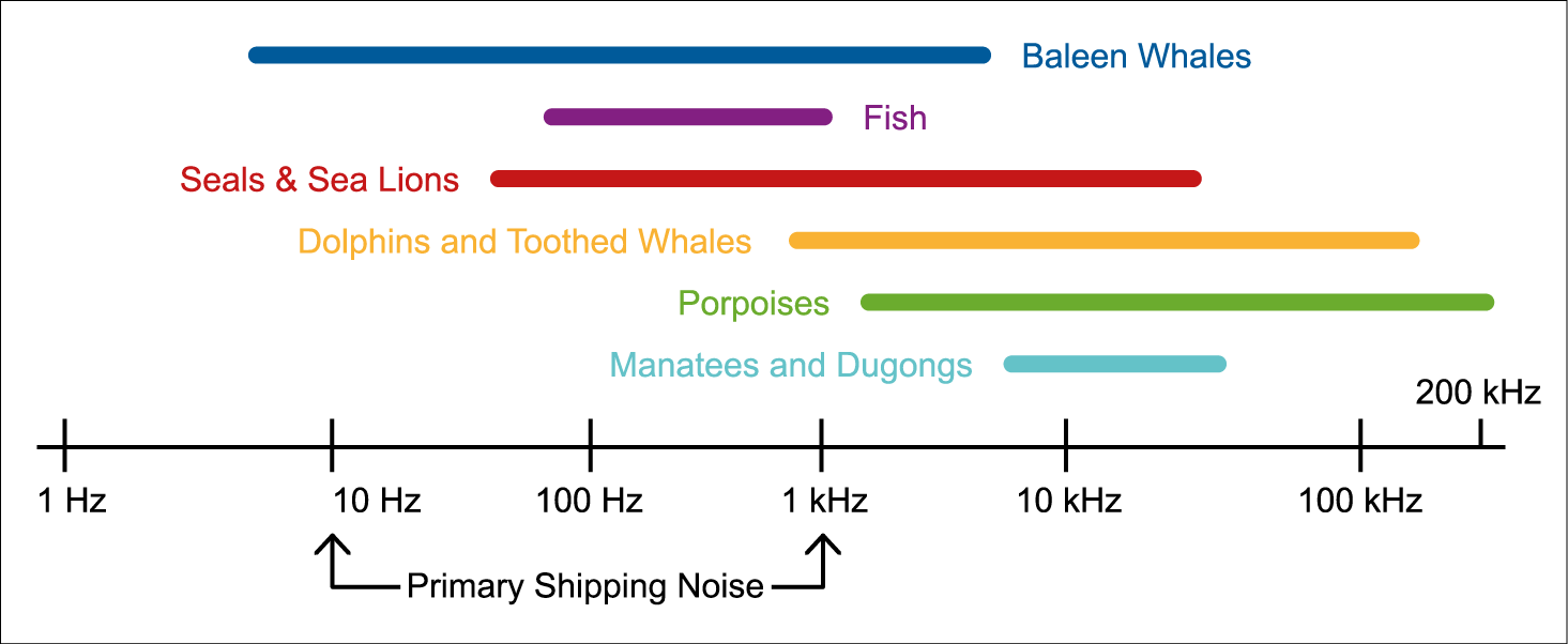 Primary Shipping Noise (1465x602), Png Download