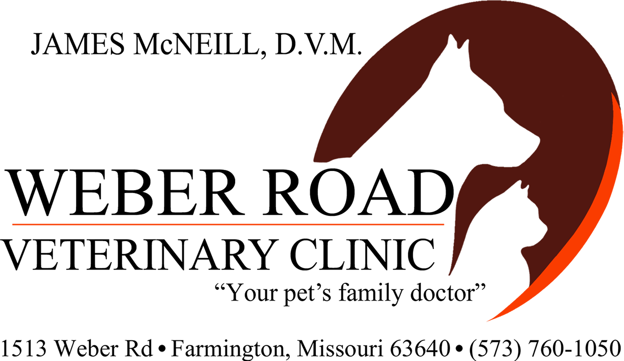 Weber Logo Png (1237x716), Png Download