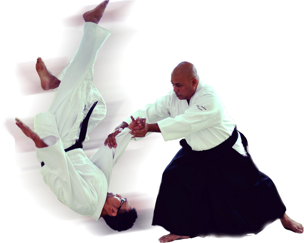 Aikido Png (1047x800), Png Download
