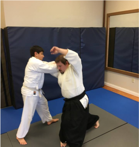 Aikido15 (900x500), Png Download