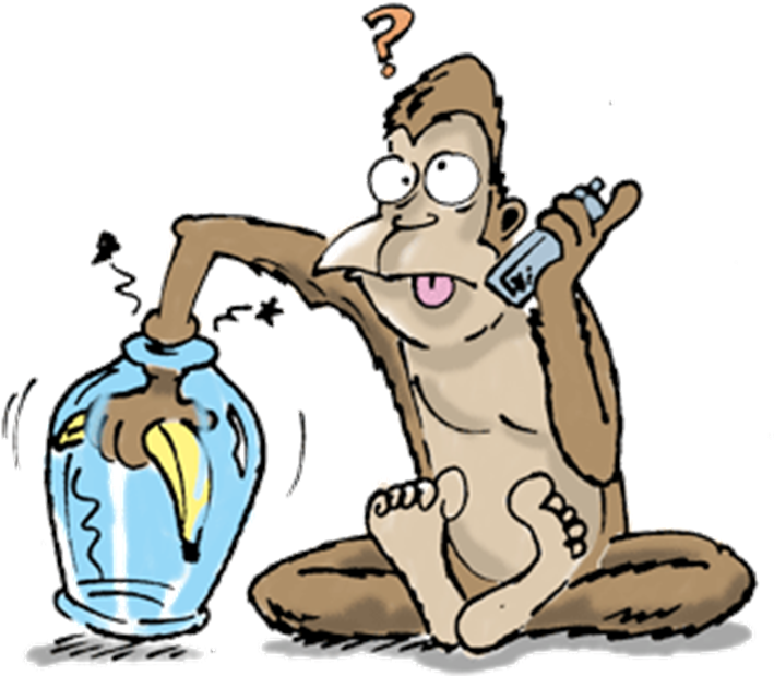 Imagem11 (740x654), Png Download