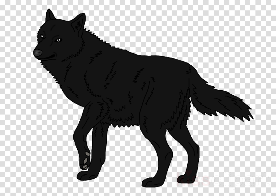 Wolf.png (900x640), Png Download