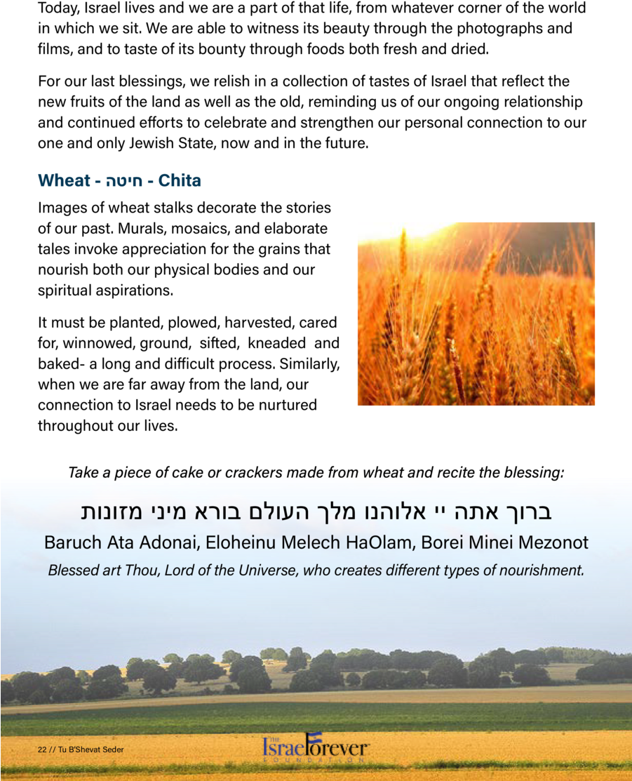 Wheat Stalk Png (900x1164), Png Download